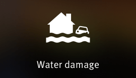 551565ab4fc50b7b5d7d4664_action-guide-water-damage.png